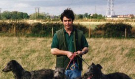 Fox Taking Deerhounds