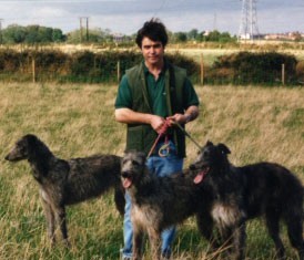 Fox Taking Deerhounds