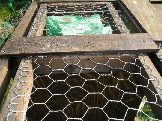 Larsen Trap Building Stage 21