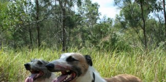 The Difference a Quarter Makes