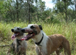 The Difference a Quarter Makes