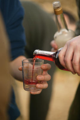 Sloe Gin - A Countryside Favourite