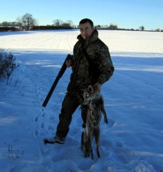 Large Dog Fox Shot Large Dog Fox Shot