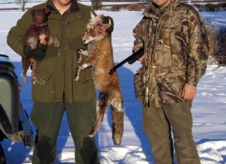 Fox Shooting Tales Fox Shooting - Large Dog Fox