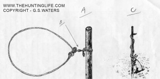 Woodland Rabbit Snaring Woodland Breakaway Rabbit Snare