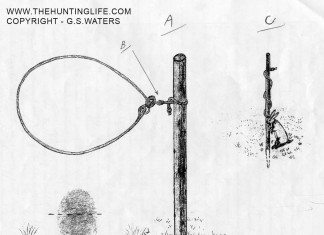 Woodland Rabbit Snaring Woodland Breakaway Rabbit Snare