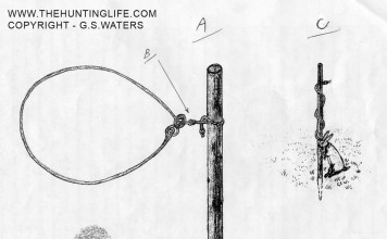 Woodland Rabbit Snaring Woodland Breakaway Rabbit Snare
