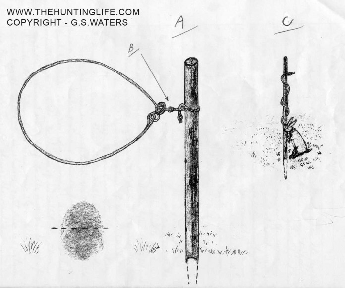 Woodland Breakaway Rabbit Snare