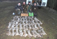 Ferreting, A Lifelong Passion Ferreting End Of Day