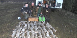 Ferreting, A Lifelong Passion Ferreting End Of Day