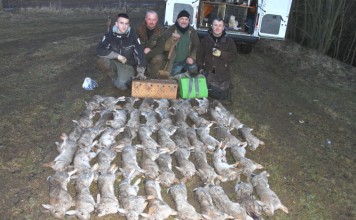 Ferreting, A Lifelong Passion Ferreting End Of Day