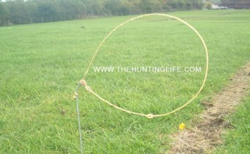 Breakaway Rabbit Snare Breakaway Rabbit Snare