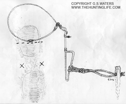 Breakaway Rabbit Snare Over Rabbit Beat