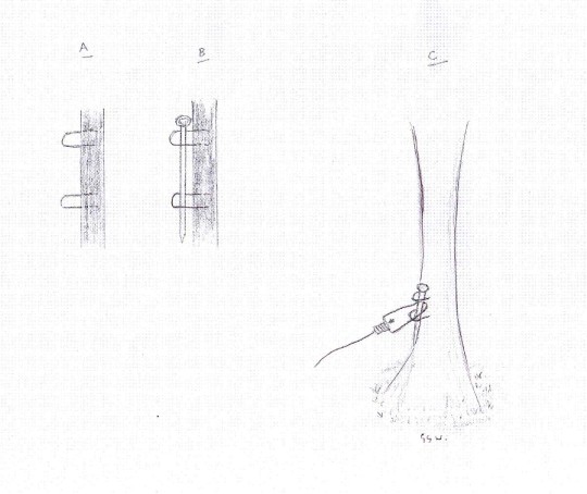 Tree Snare Securing Pin