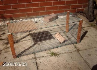 How to Build a Rabbit Trap How to Build a Rabbit Cage Trap