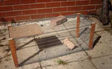 How to Build a Rabbit Trap How to Build a Rabbit Cage Trap