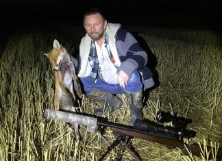 Fox Down