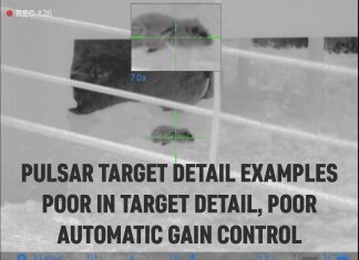 Pulsar Thermion & Trail 2 Image Detail